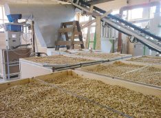 Fabrică de peleți în extravilanul comunei Vorniceni