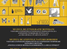 Noaptea Muzeelor 2022: sâmbătă puteți merge gratuit la muzeele din Botoșani, Dorohoi, Ștefănești și Săveni